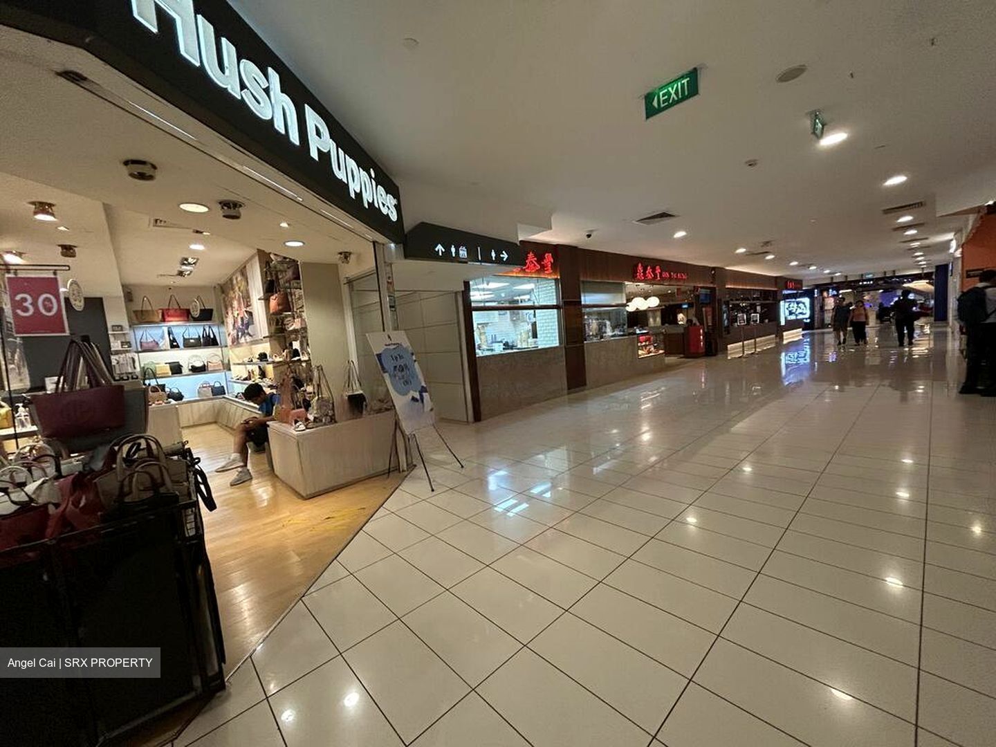 The Centrepoint (D9), Shop House #451144281